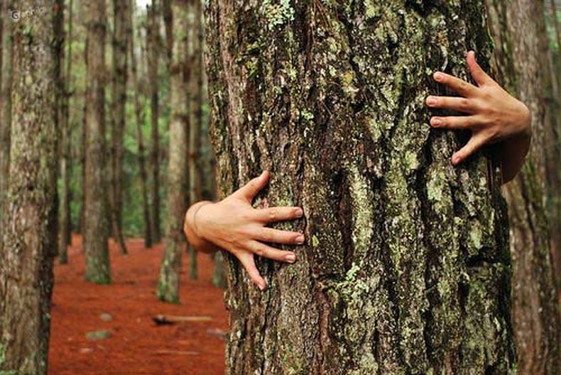 ecologia profunda.jpg