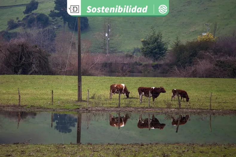 21920 diseno sin titulo 2025 09 03t130455.webp