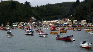 Dirigentes de la pesca artesanal responden acción judicial de Alimar: “Sus padrinos ya no están en el gobierno”