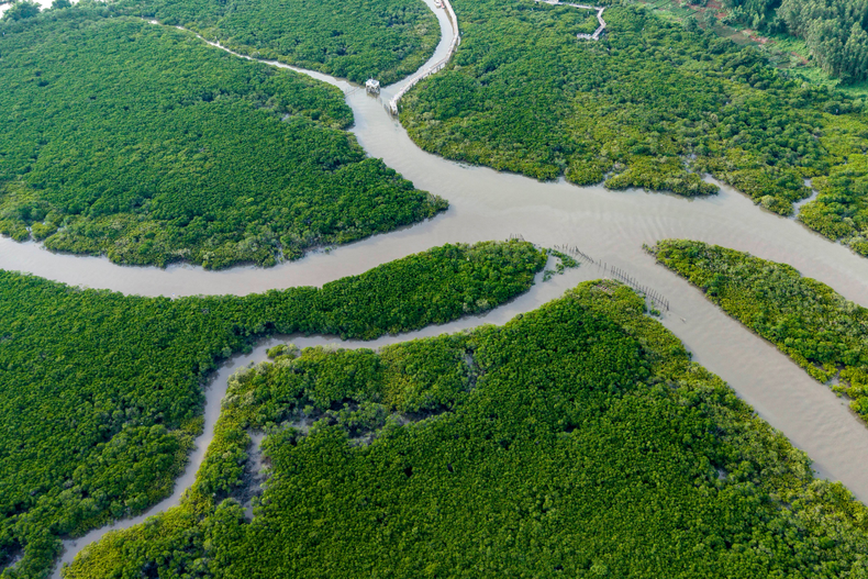 Reserva Natural de Manglares de Shankou, en Beihai (Guangxi), fotografiada con dron el 24 de julio de 2026. Creada en 1990, protege el ecosistema natural de manglares y funciona como uno de los principales bancos de germoplasma y genes de esta especie en China. Fotografía: Agencia Xinhua.