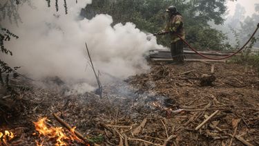 Experto en regenerar  suelos ofrece asesoría gratis para dueños de terrenos incendiados