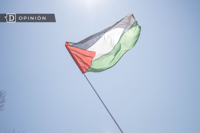 10365 bandera palestina.jpg