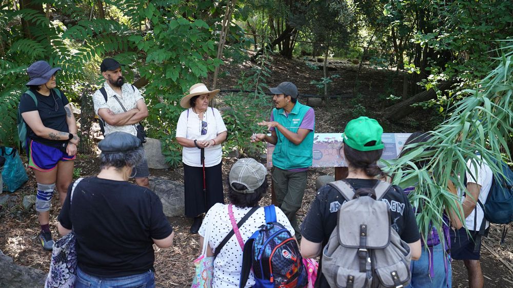 Visitantes recorren senderos naturales del Bosque Santiago - Imagen cedida