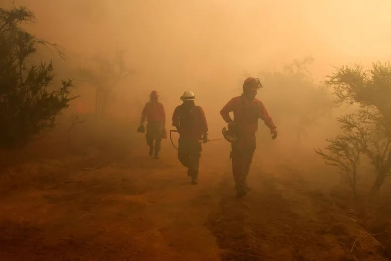 conaf informa que mantiene combate contra 6 incendios y activa boton rojo en 168 comunas por alto riesgo de propagacion.webp