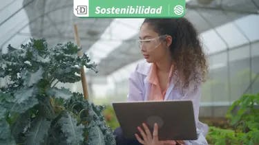 Empleos verdes y economía circular en Valparaíso: Se capacitará a 150 participantes de instituciones de educación superior