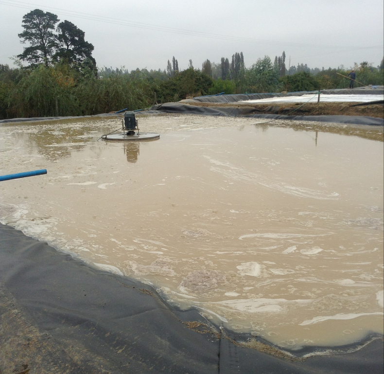 Tribunal ratifica multa a empresa por afectación a ecosistema de estero en Colbún. Créditos: SMA.