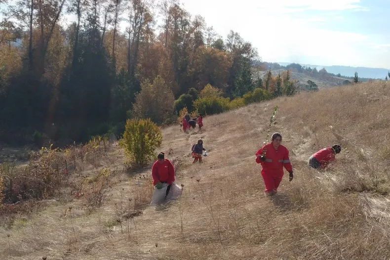 24599 restauracion cuenca.webp