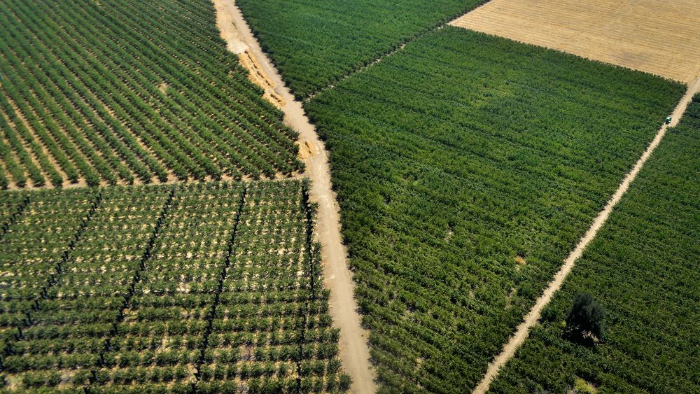 Plan sequía: “omite medidas para sectores de mayor consumo como el agrícola y el forestal”
