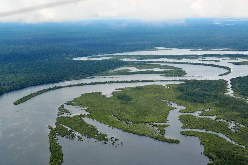 22427 amazonia wikipedia.jpg