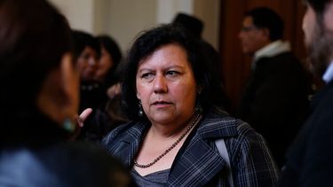 Lorena Pizarro y su nuevo rol en el Congreso: Daré cara ante la indolencia