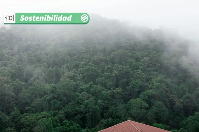 16356 diseno sin titulo 2025 05 27t123748.webp