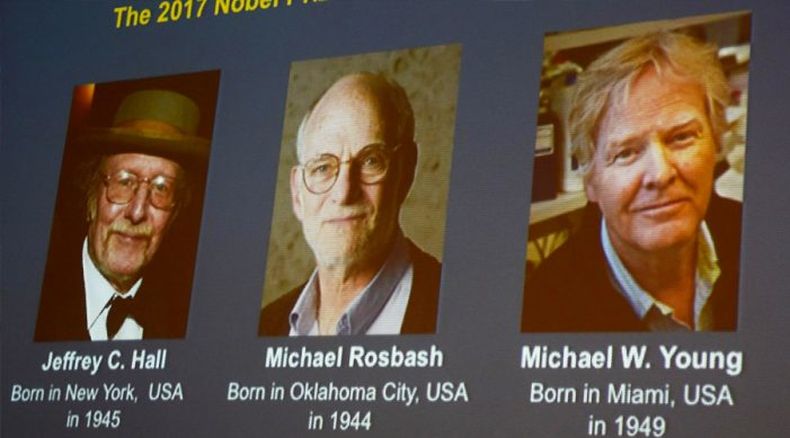 nobel 701x389 1.jpg