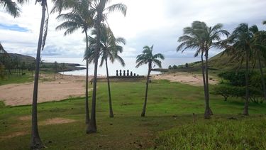 El Desconcierto | 3071 rapa nui.jpg