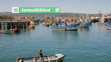 Primer taller de Caletas Sustentables: Municipios de Chañaral, Caldera, Copiapó, Huasco y Freirina serán beneficiados