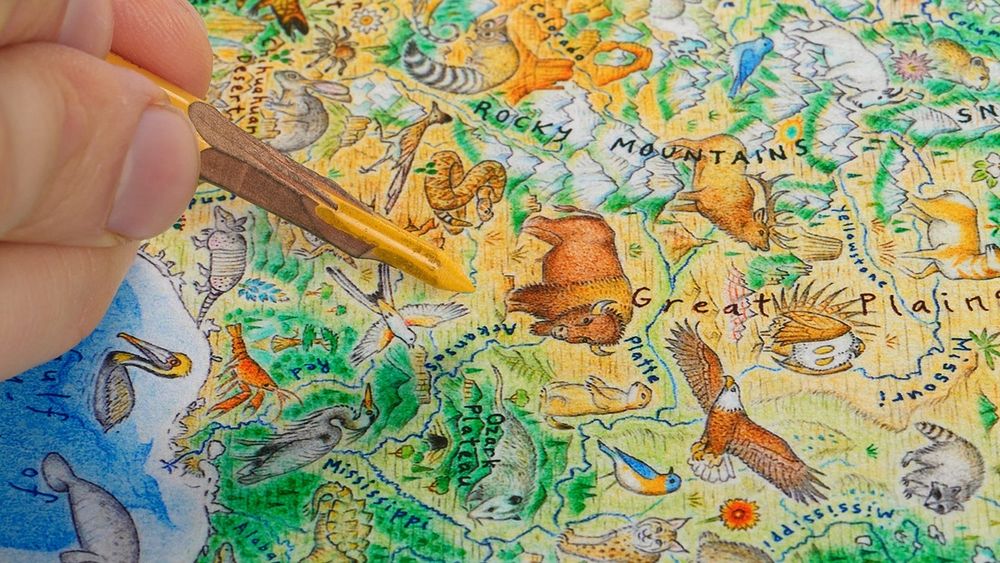 Mapa ilustrado de biodiversidad en Norteamérica.&nbsp;