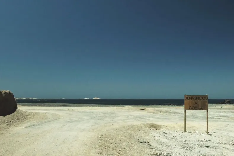 26237 diseno sin titulo 53.webp