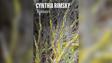 Crítica literaria | Yomurí: La búsqueda de la identidad