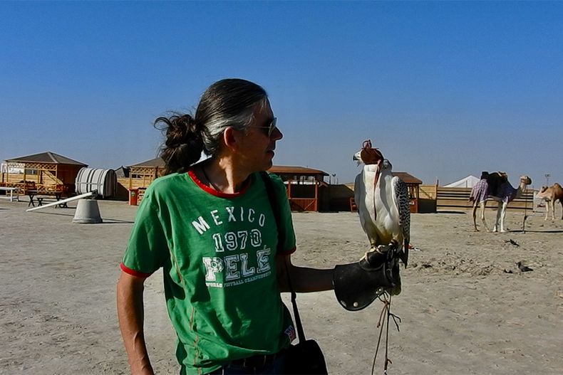 halcones qatar.jpg