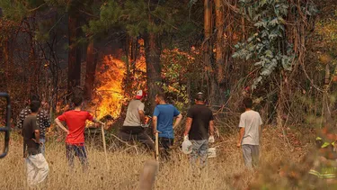 Alerta Temprana Preventiva por peligro de incendios forestales: Zona Central llegará hasta los 35 grados
