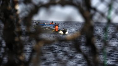 Suprema multa a nave por pescar en zona reservada para embarcaciones menores en Biobío