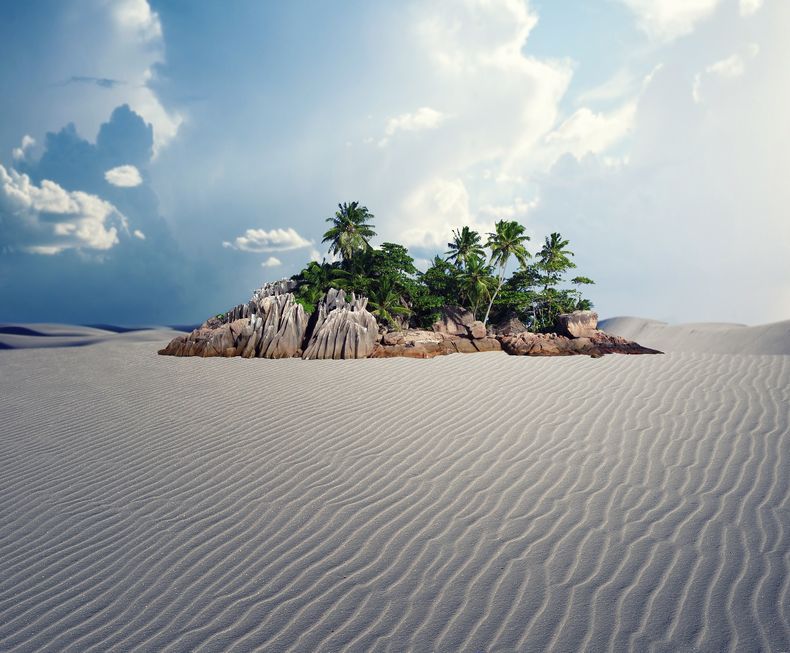 oasis desierto.jpg