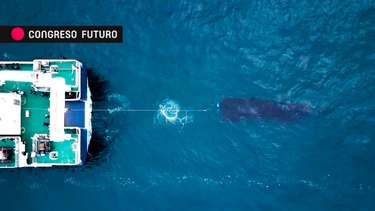 Ciencia chilena en la punta de la exploración oceánica se presenta en el Congreso Futuro