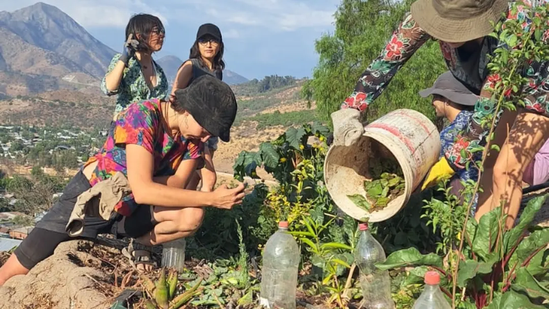 Reforestación comunitaria de proyecto Winkelhue en el cerro San Cristóbal (Tupahue).&nbsp;