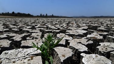 Gobierno extiende decreto de emergencia hídrica en 231 comunas del país