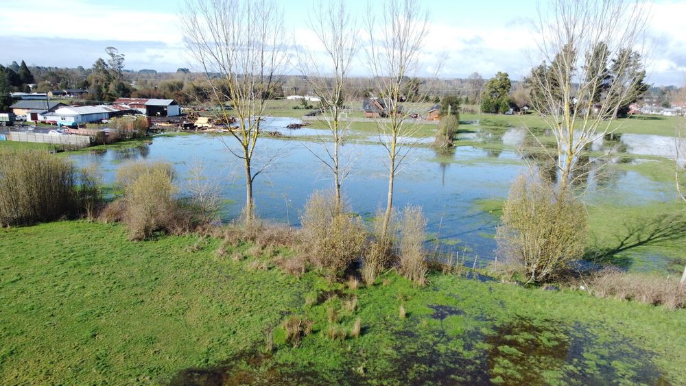Lluvias dejan campos y plantaciones inundadas por suelos saturados de agua - Agencia Uno