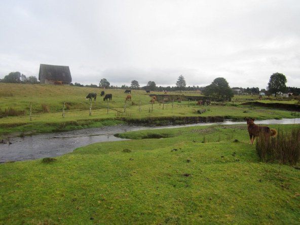 Zona arqueológica de Monte Verde / Foto: Flickr.com - Creative Commons (CC)