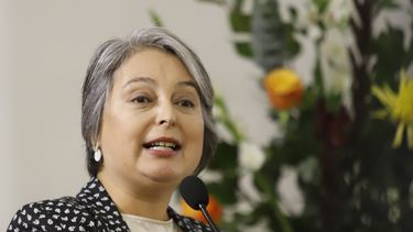 Ad portas de votación del salario mínimo ministra Jara llama a la Cámara a aprobar alza