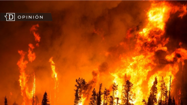 El Desconcierto | Hawaii Incendio e1692829375634.png