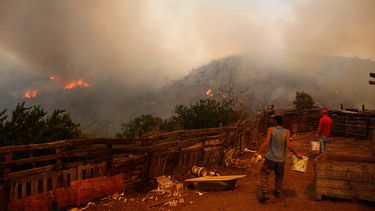 El Desconcierto | QUIPUE Incendio Forestal.jpg