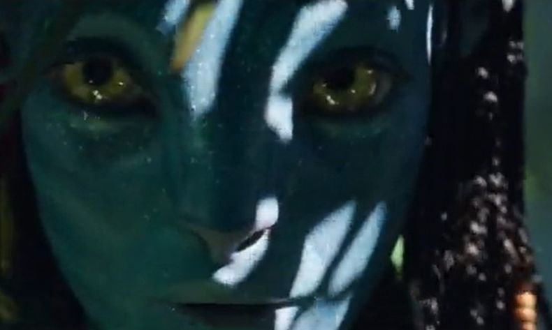 Avatar.jpg