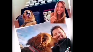 Furor en redes por mujer que funó y trató de “burgués” al perro de Gabriel Boric