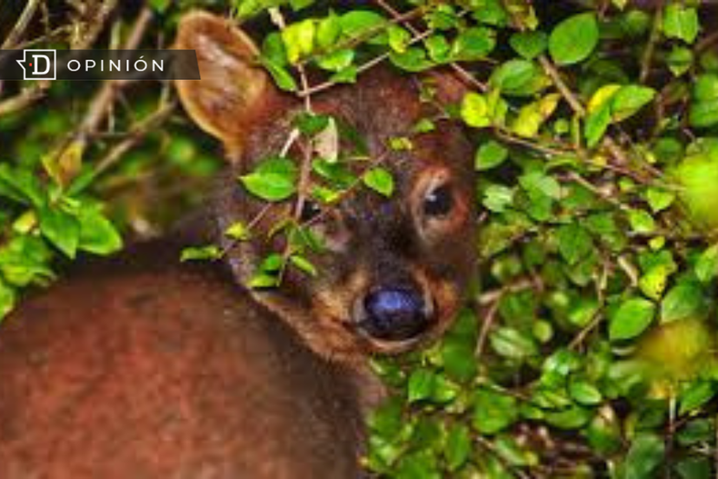 Diseno sin titulo 2023 05 02T205531.124.png