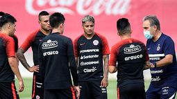Forestal Arauco: depredación ambiental y “greenwashing”