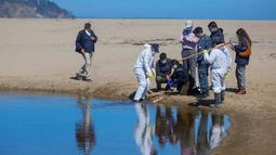Monitoreo por peces muertos en el humedal de La Laguna en Zapallar. Monitoreo por peces muertos en el humedal de La Laguna en Zapallar.