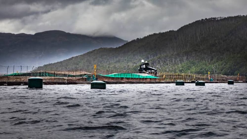 Chile: Científicos y pueblos indígenas se unen para proteger la reserva Kawésqar