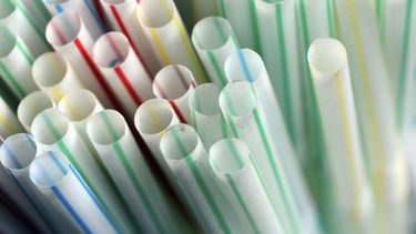 El Desconcierto | PlasticStraws_Lead.jpg