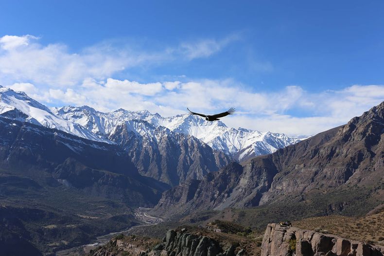 Francisco Lopetegui 1.jpeg