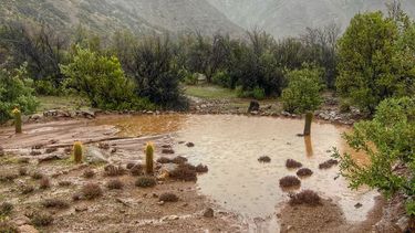 Lluvias y zanjas de infiltración.&nbsp;