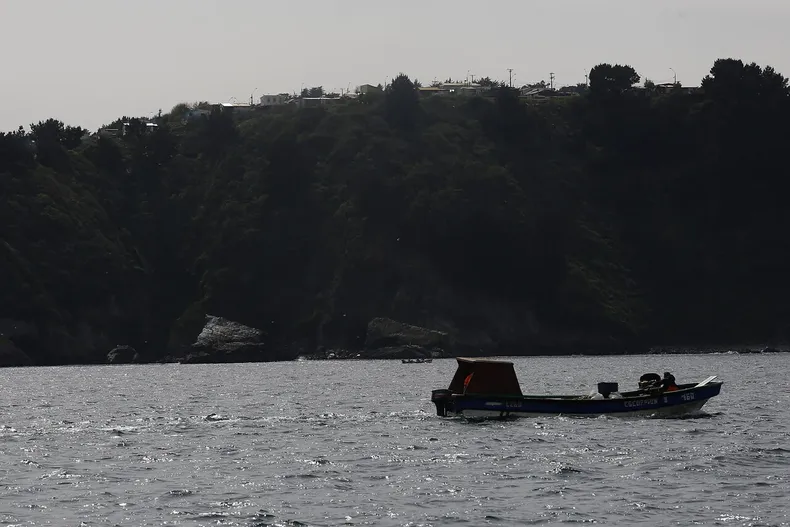 27637 a uno 1107613.webp