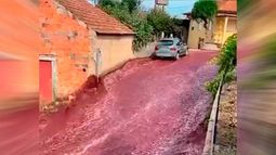 VIDEO| “Trágica” inundación en Portugal: Millones de litros de vino tinto recorren las calles