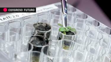 ¿Cómo curar los debilitados suelos de Chile? La ciencia responde, en el Congreso Futuro