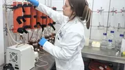 chile patenta microorganismos que extraen cobalto de relaves mineros y busca convertirse en segundo productor mundial del metal