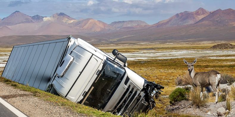 Camiones volcados derramando petróleo y tarucas atropelladas son parte de las denuncias en la ruta 11CH.&nbsp;