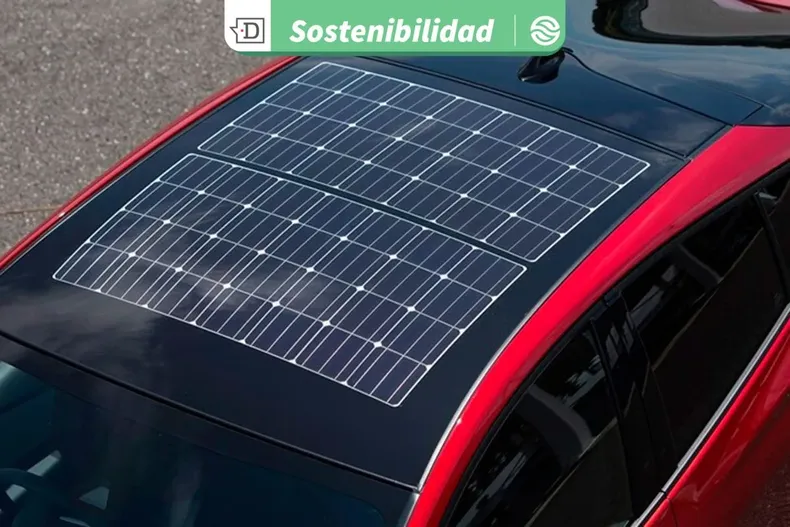 22903 diseno sin titulo 2025 09 22t112109.webp