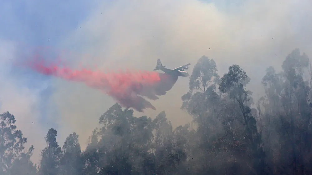 Botón Rojo para el sábado 7 de febrero en más de 100 comunas por alto riesgo de incendios forestales: Revisa la lista