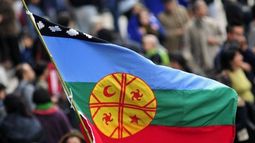 VIDEO| Bandera mapuche aparece entre las manifestaciones en Minneapolis